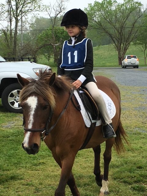 Rylen competing on a chestnut horse