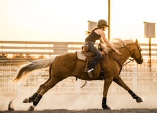 Rylen and horse at a gallop in warm sunset light