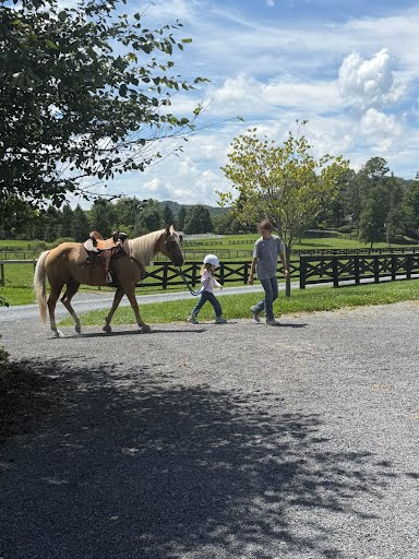 Young rider leading a palomino horse along the farm driveway