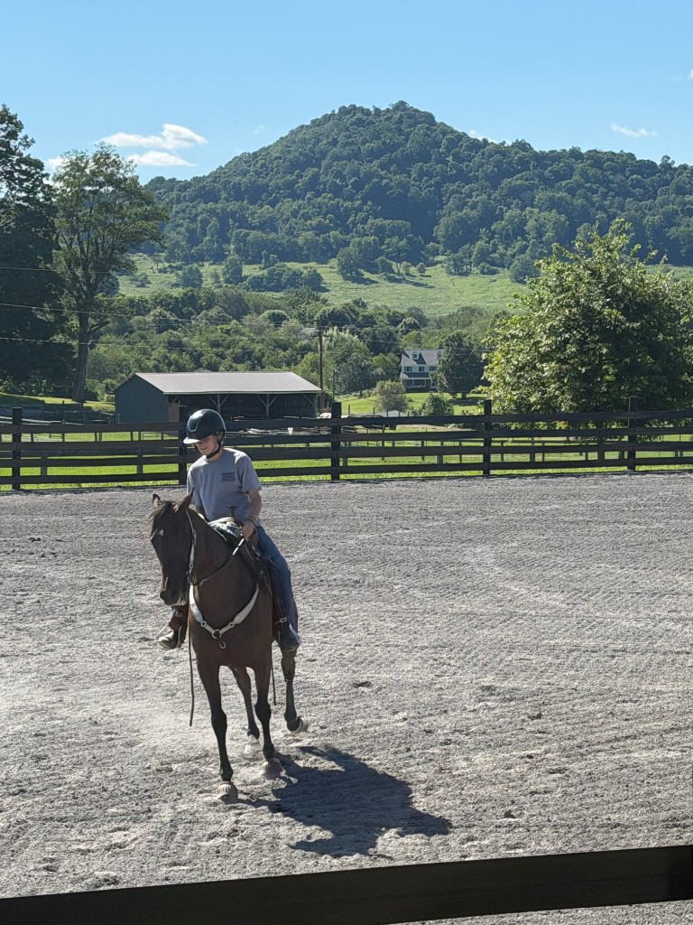 Rider on a bay horse in the arena with the farmhouse beyond